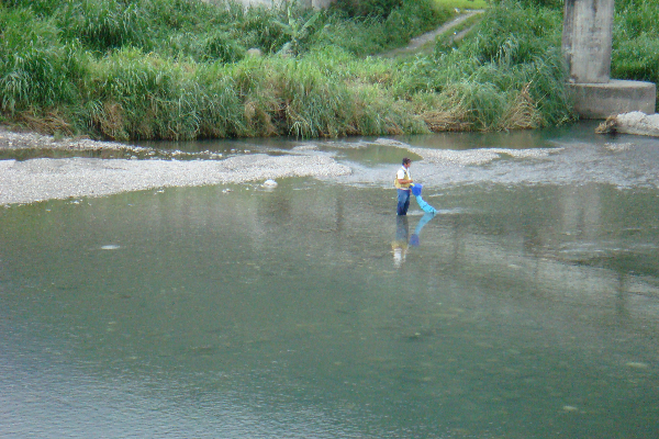 秀姑巒溪上游的優良水質。