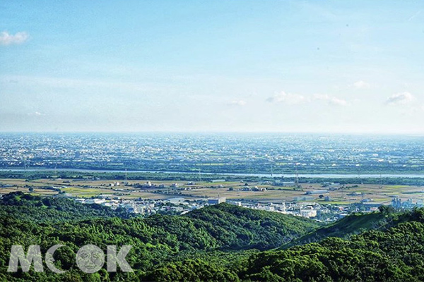 走入山林消暑去！清幽林蔭賞百萬級療癒風景