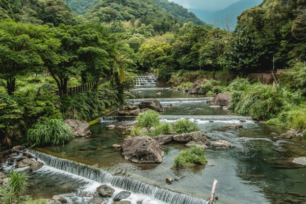 探尋部落山林秘境超紓壓！漫步森林溪流輕旅行