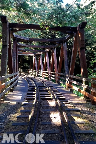 陽光灑落水山步道。