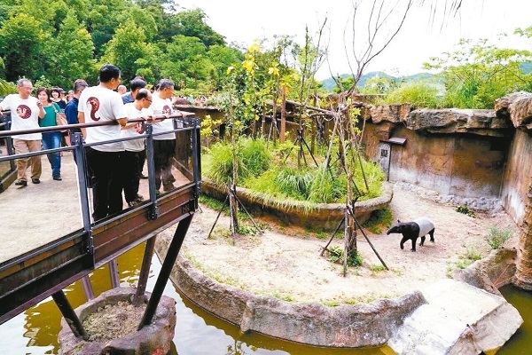 歷經13年打造的台北市立動物園「熱帶雨林館」開幕。（圖／台北市政府）