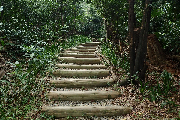 福州山有部分路段可見手作步道，這是臺北市第一條民眾合作完成的手作步道。