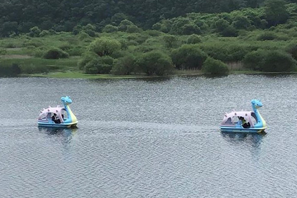 乘龍在湖上優游。 (圖／michinokupark)