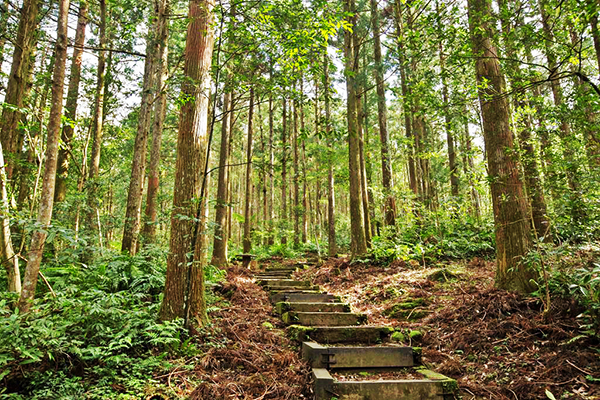 父親節帶爸爸上山下海！來場擁抱自然輕旅行