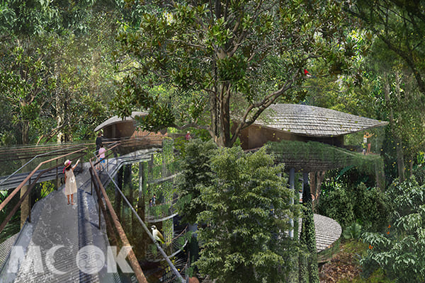 2023年即將全新開幕的Mandai渡假村，四周環繞著樹木，受被森林環繞的感覺。