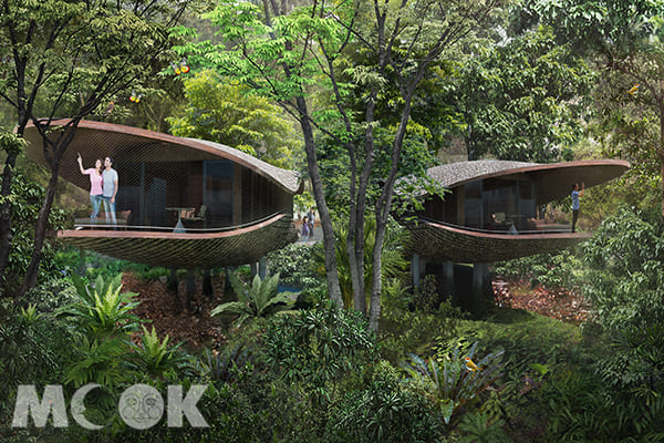 以高架樹屋的概念打造居住空間，並設計成種子莢形狀。