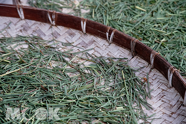 有機種植的香草採收下來，可製作香草茶包和茶樹純露。
