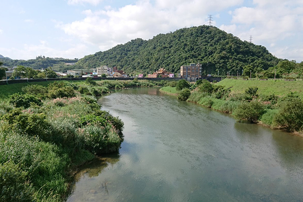 碇內吊橋週邊步道。