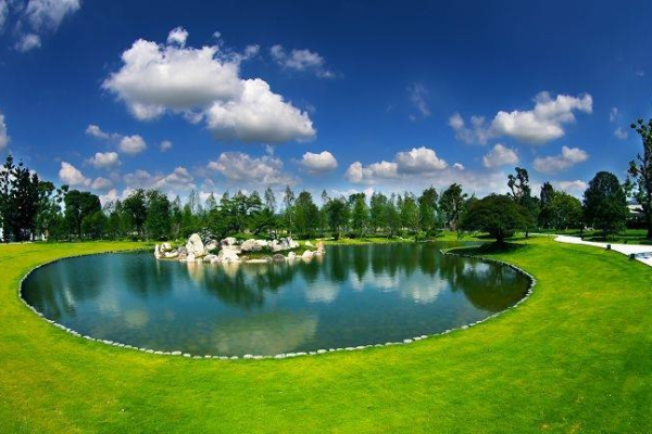 夢幻林園湖景。 (圖／成美文化園，以下同)