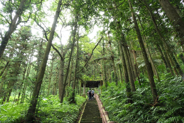 老街古道玩遍獅潭！一日漫遊小鎮超有趣