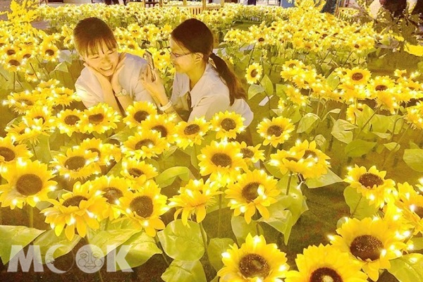 向日葵燈海吸引不少網友前來拍美照打卡。（圖／yuxin_ling）