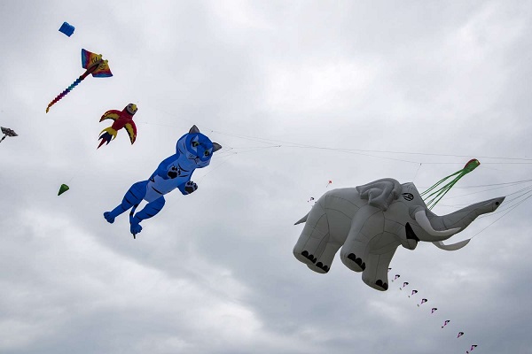 此次風箏節以動物為主題，打造多款動物風箏。（圖／新竹市政府，以下同）
