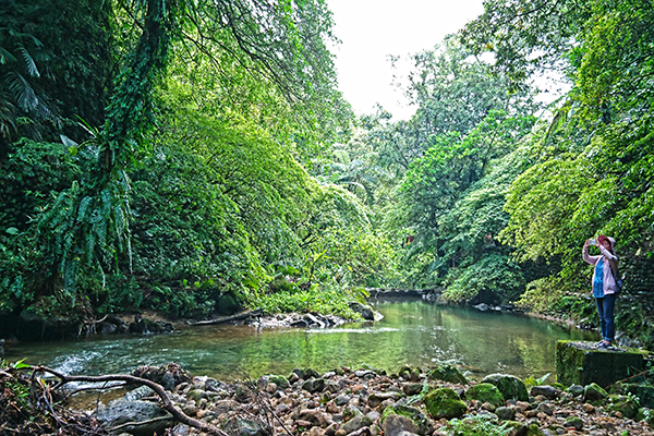 嶺腳寮山步道。