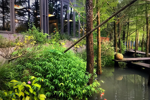 夢幻落雨松木棧道！自然系山林美拍餐廳