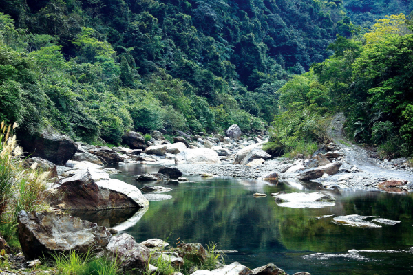 南澳南溪的原始山林美景。 (圖／林務局)