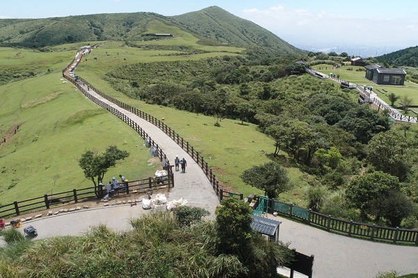 陽明山的擎天崗步道重啟開放，規劃了「人牛分道」的安全設計。（圖／陽明山國家公園）