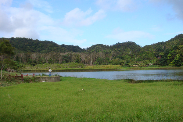 美麗的水上草原。 (圖／牡丹鄉公所)