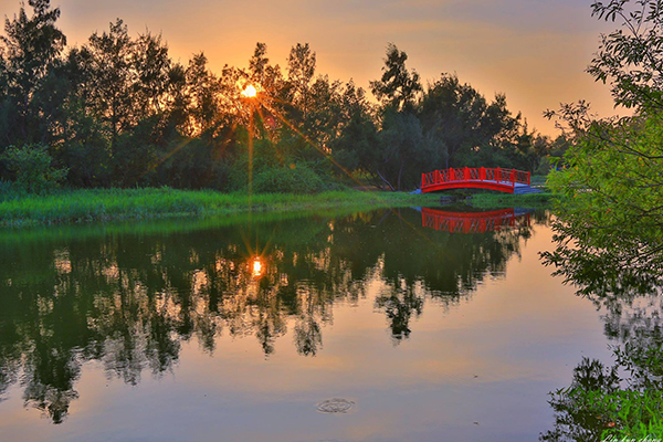 落日時分的竹南濕地一景。 (圖／長青之森)
