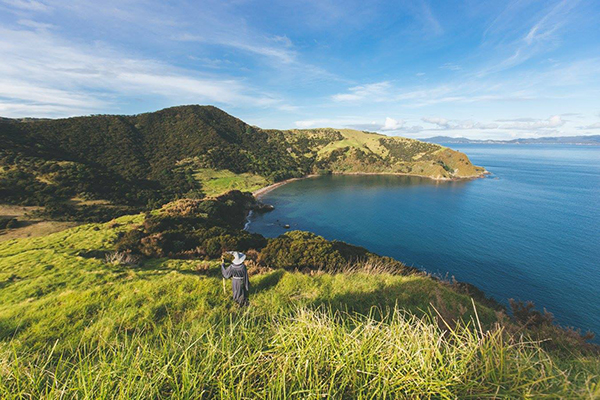紐西蘭擁有絕美的自然風光，受到旅人喜愛。(圖／100% Pure New Zealand)