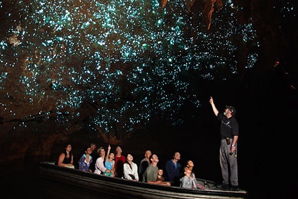 紐西蘭北部Glowworm Cave洞穴中含有螢火蟲螢光，景緻非常美麗（圖／ Gnosticwarrior）