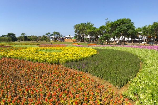 除了地景外，還有大片花海。