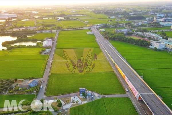 彩繪稻田以LINE貼圖「ㄇㄚˊ幾兔」為主題打造。