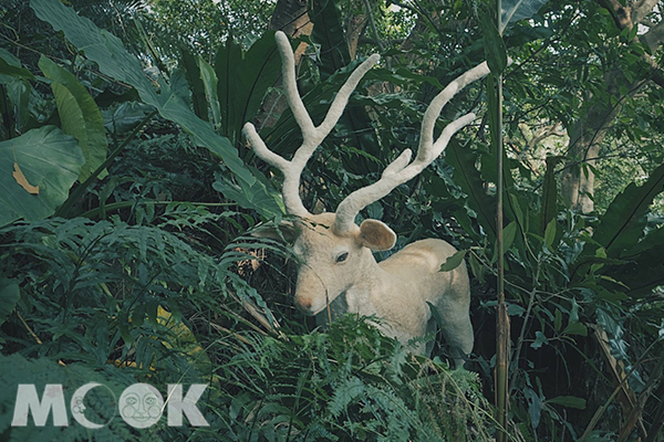 隱身在樹叢中的巨鹿精靈。 (圖／景點家廖維仁)