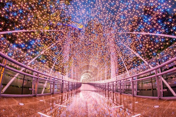 燈海隧道是每年耶誕城的打卡焦點。