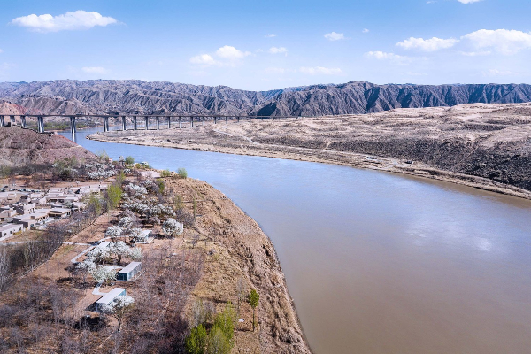 黃河流經的美麗綠洲。