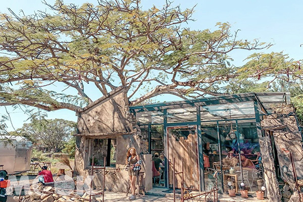 夏樹飲室是一棟建在破泥房裡的玻璃屋咖啡館。