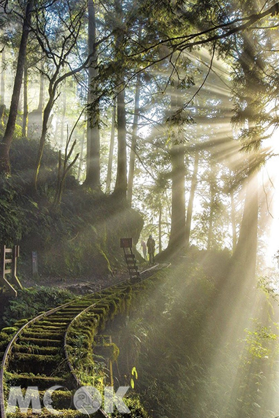 越山壑的木橋與山霧瀰漫的森林，好似電影場景。 (圖／jerry1217922)