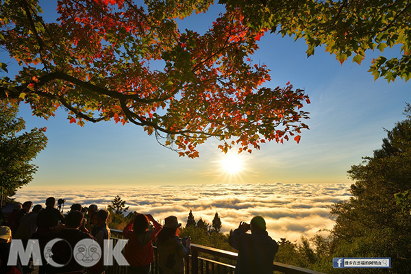 百萬級落日雲海！浪漫楓紅季節限定絕景