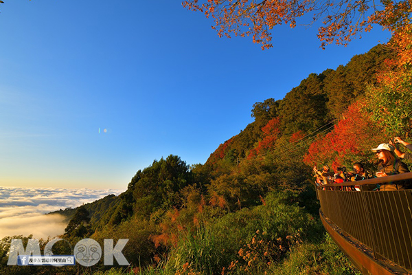 阿里山雲海搭配落日與楓紅，是難得一見的美景。