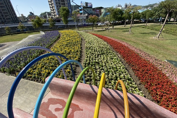 五股區體健公園內的大面積漸層花海相當浪漫。（圖／新北市政府，下同）