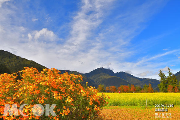 武陵農場是秋日非常熱門的賞楓景點。  (圖／漫步在雲端的阿里山)