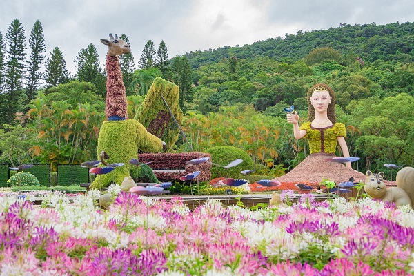 士林官邸菊展開跑。 （圖／台北市政府，以下同）