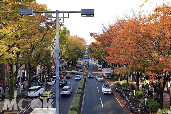 原宿表參道路兩邊茂盛的枝葉，一紅一黃讓人印象深刻。