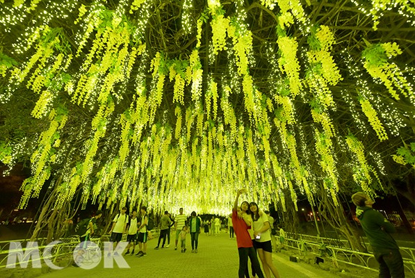 夢幻藤花海再現！金黃燈海瀑布聖誕搶拍