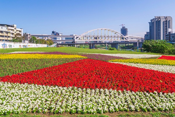 河濱公園藏動人花海。(圖/台北市政府，以下同)