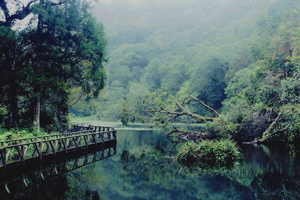 山水農場玩轉員山！一日漫遊小鎮超有趣