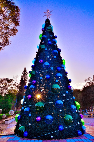 綠六廣場聖誕樹。