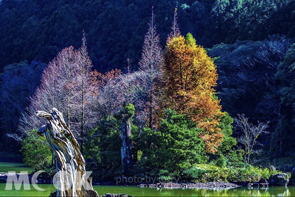 青山綠水的明池森林遊樂區，常吸引許多遊客前來散心。 (圖／jerry1217922)