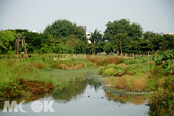 以濕地公園生態廊道回復九番埤灌溉與儲水池風貌，埤塘水域也成為水鳥的天堂。