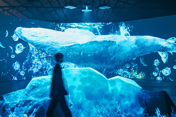 「噶瑪蘭公主」沉浸式的大型立體投影互動體驗。