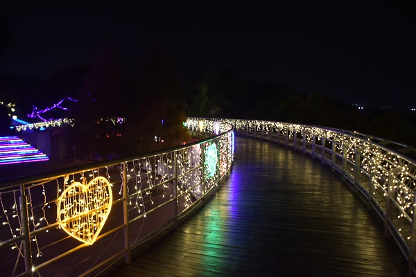50萬顆LED燈泡打造的燈海照耀下十分迷人。
