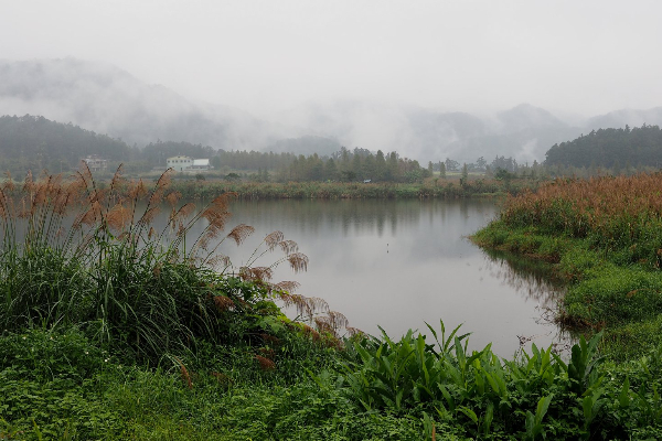 雙連埤美麗的湖光山色。 (圖／野夫炊煙)