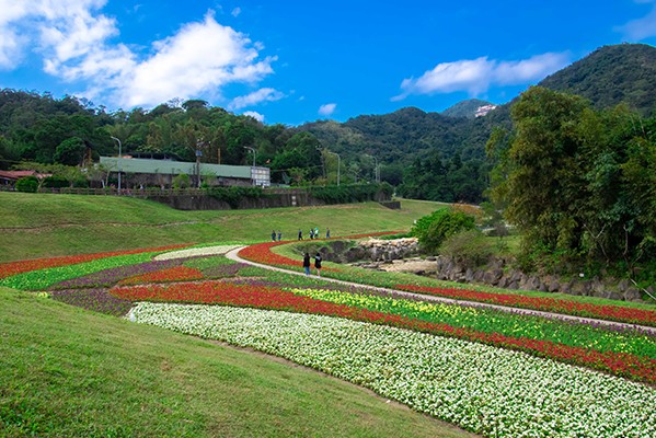 捷運就可到花海秘境！庭園綠地半日微旅行