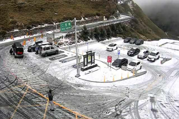 合歡山下雪了！夢幻銀白山頭積雪十公分