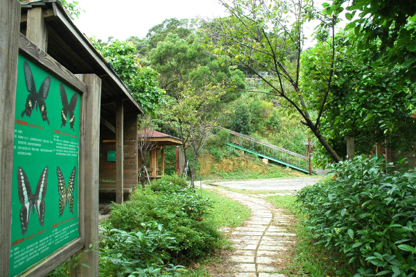 公園秘境玩轉泰山！一日漫遊小鎮超有趣