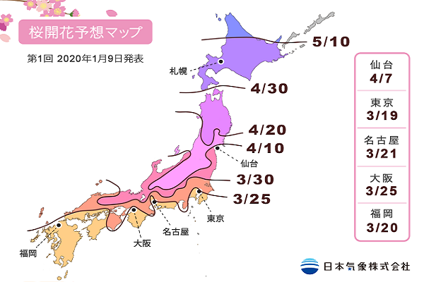 2020年日本櫻花開花預測。（圖／日本氣象株式會社）